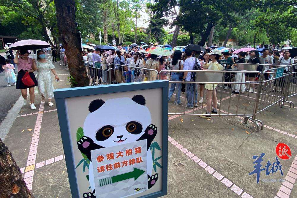 广州动物园熊猫馆外摆设了提示牌，市民游客参观熊猫馆需排队。