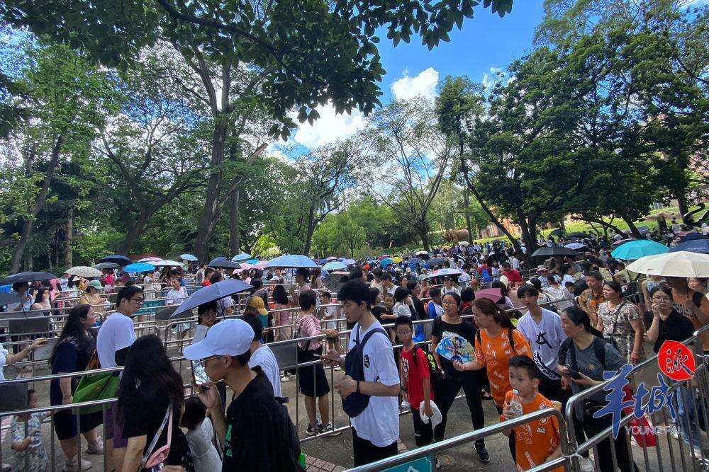  广州动物园熊猫馆外摆放了防护栏，市民游客有序排队。