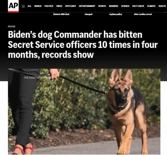 图片来源：美联社报道截图