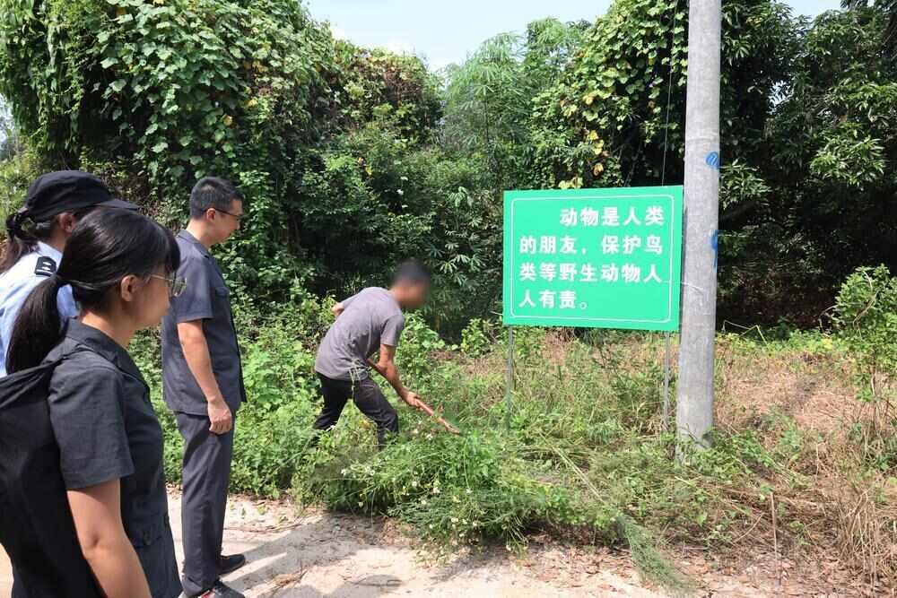  刘某灿在潮刘村山道进出口处立起保护野生动物的宣传牌