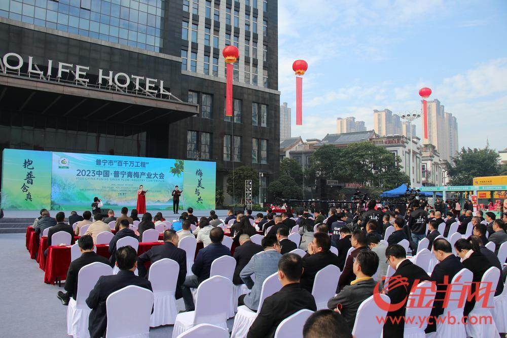 普宁青梅产业大会