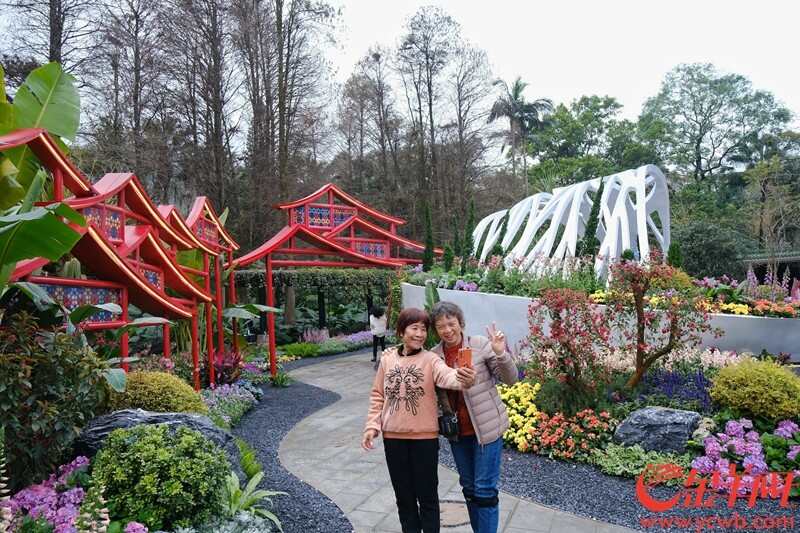  不少街坊来到白云山主会场打卡，游园赏春