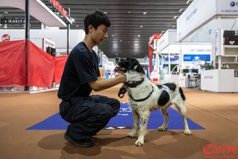 搜查结束，训导员“表扬”警犬