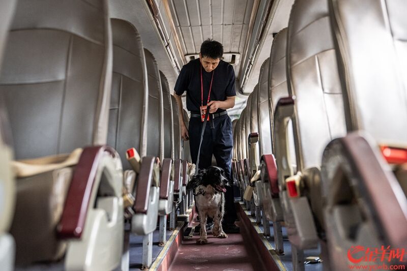 警犬搜查大巴车