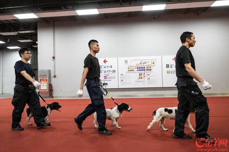 搜爆工作结束，警犬排队离开展馆