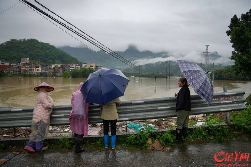 21日上午，清远市阳山县，几位农民在公路旁看着自家被洪水淹没的农田，当地经济作物主要以水稻、玉米为主