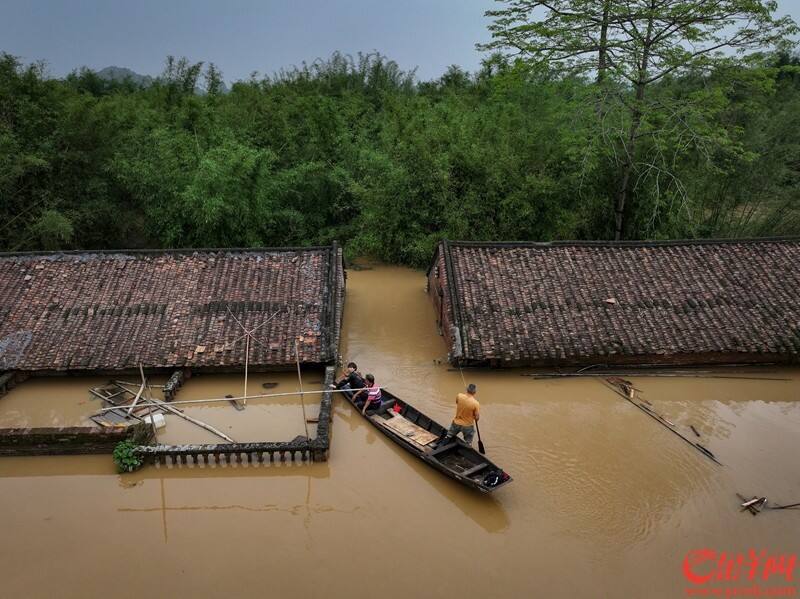 22日中午，清远飞来峡镇一处村落，几乎被洪水淹没的屋顶，几位村民划船守着自家房屋