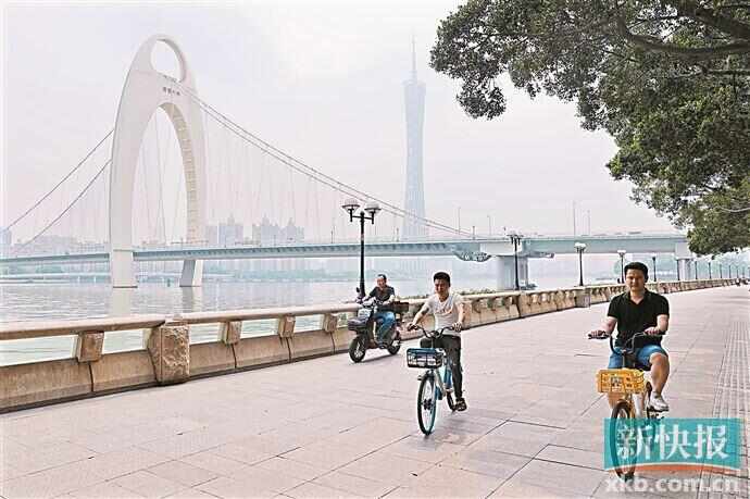 市民骑车从猎德大桥北端桥下经过。新快报记者郭思杰/摄